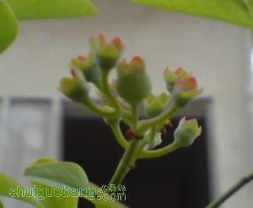 APXX@[1AJ$4(716]YTZ{}FU.jpg