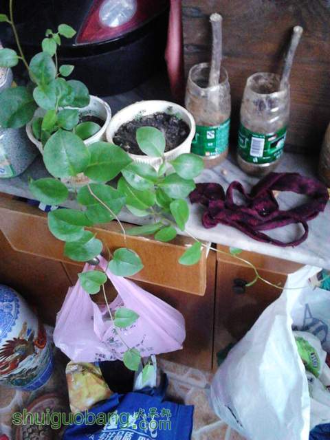20130226.jpg