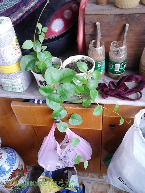 20130227-.jpg