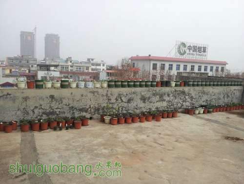 20130228_111047.jpg