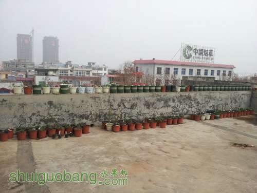 20130228_111050.jpg