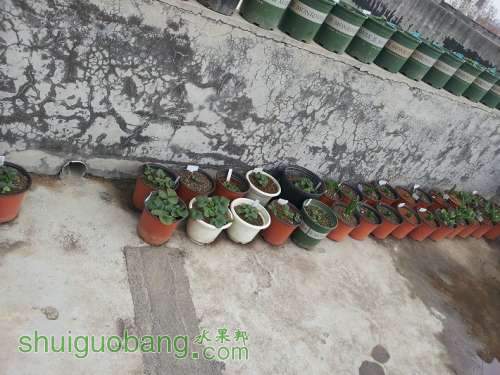 20130228_111124.jpg