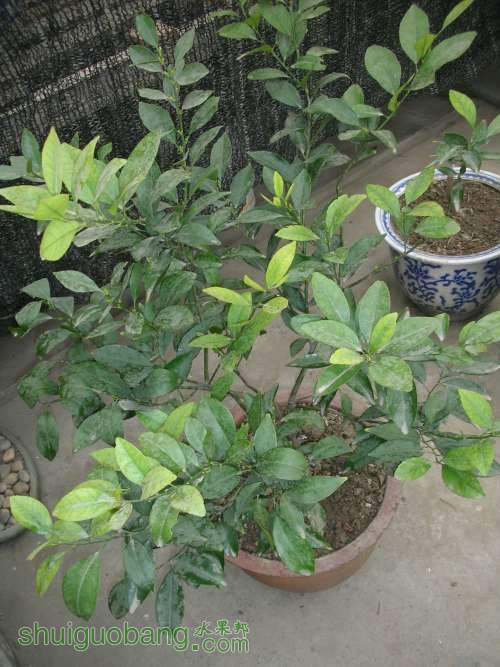 DSCN4199.JPG