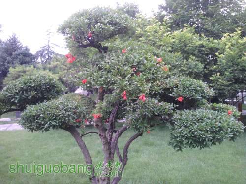 2011-06-05 17.24.51.jpg