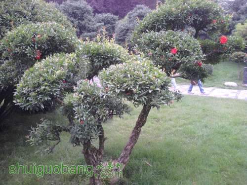 2011-06-05 17.25.19.jpg
