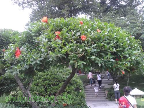2011-06-05 17.29.06.jpg