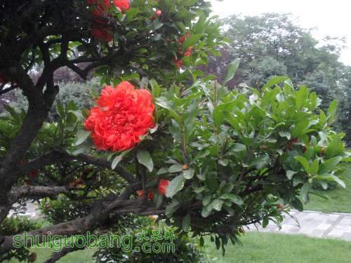2011-06-05 17.29.17.jpg