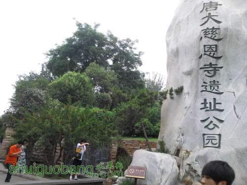 2011-06-05 17.35.08.jpg