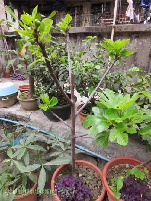 PICer201333140.jpg