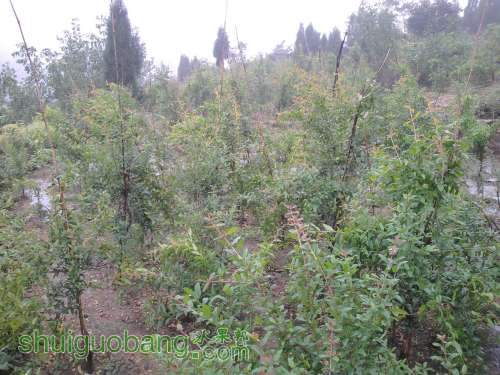 2011-09-14 15.59.36.jpg