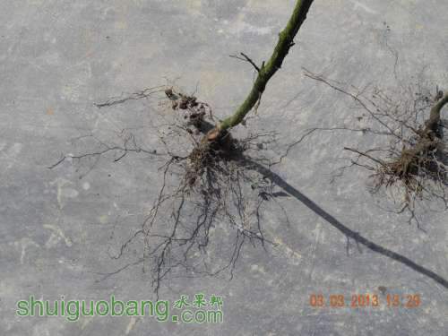 201231ë�� 018.jpg