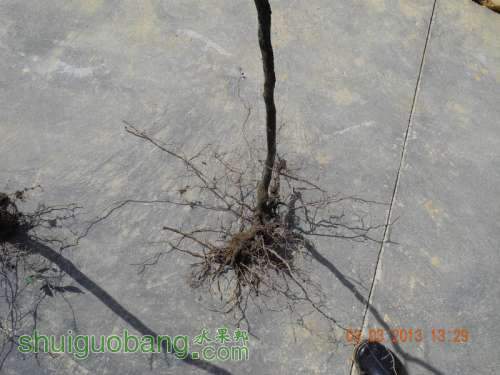 201231ë�� 019.jpg