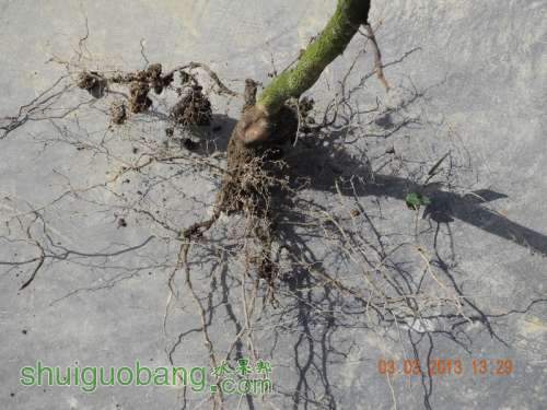 201231ë�� 020.jpg
