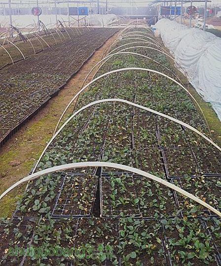 ��Ƭ 266_����.jpg