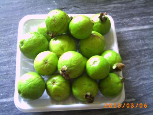 PICT0123.JPG