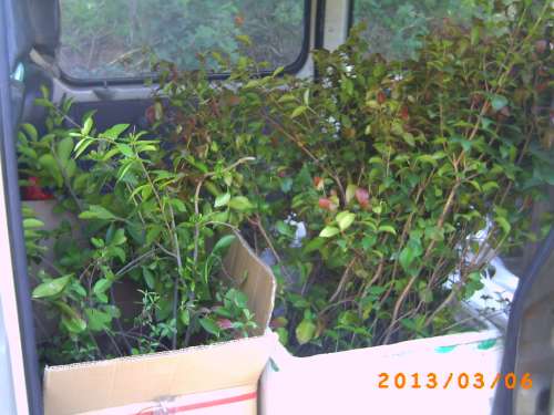 PICT0118.JPG