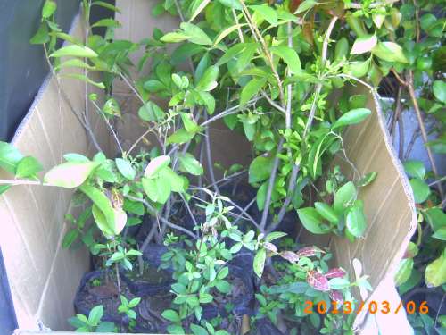 PICT0119.JPG