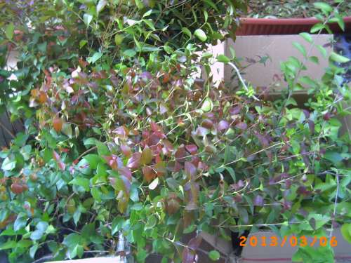 PICT0120.JPG