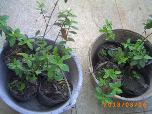 PICT0121.JPG