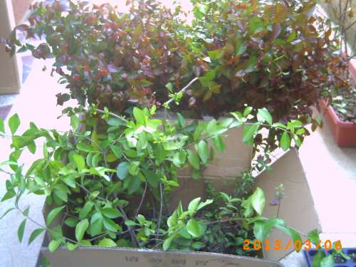 PICT0122.JPG