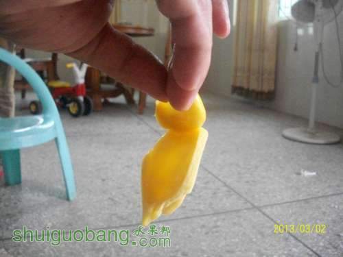 100_2848_.jpg