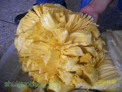 100_2852_.jpg
