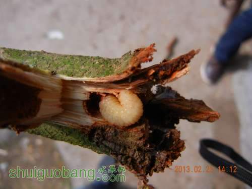 DSCN2708.jpg