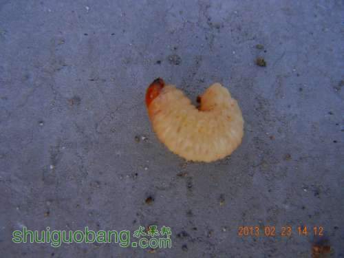 DSCN2709.jpg