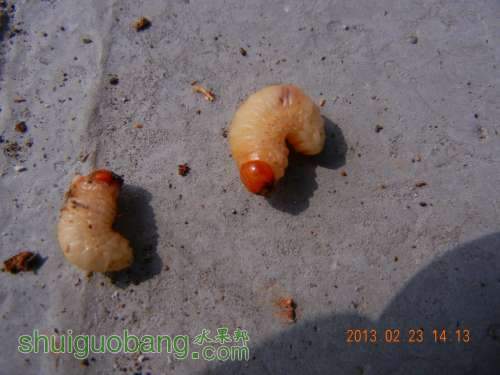 DSCN2710.jpg