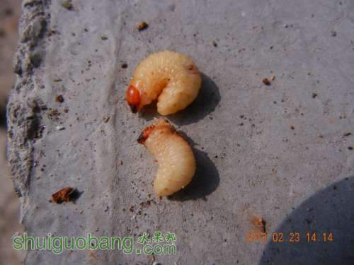 DSCN2711.jpg