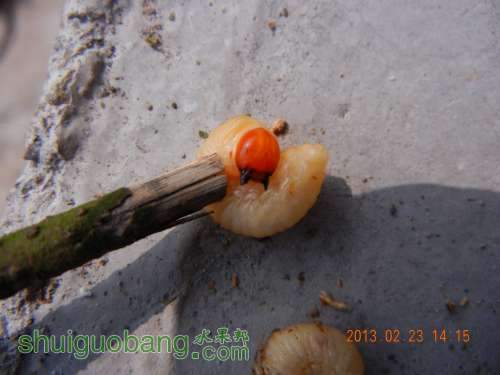 DSCN2713.jpg