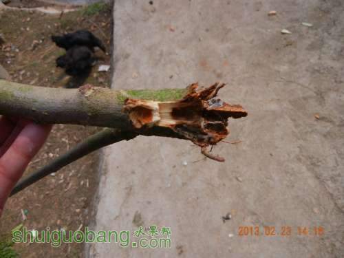 DSCN2715.jpg