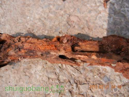DSCN2720.jpg