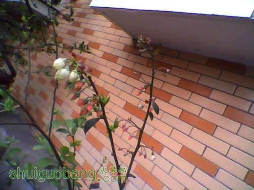 ͼƬ 004.jpg