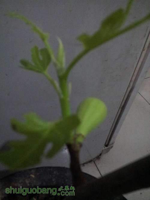 20130305_185754.jpg