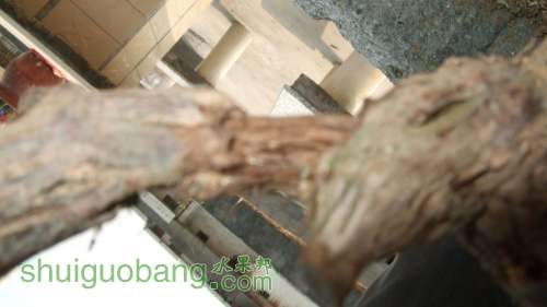 DSCF6627.JPG