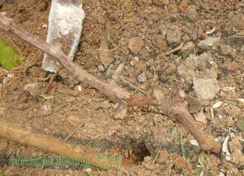 DSCF6628.JPG