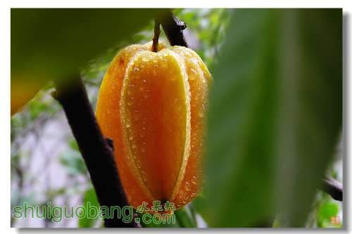 Ƭ 008.jpg
