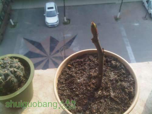 HOTGG1�Ĵ�����ǩ��.jpg