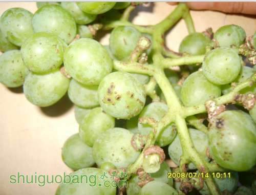 A]QPP35DR2_X41%%CDJW5HX.jpg