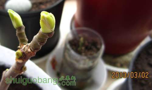 ǰ2.JPG