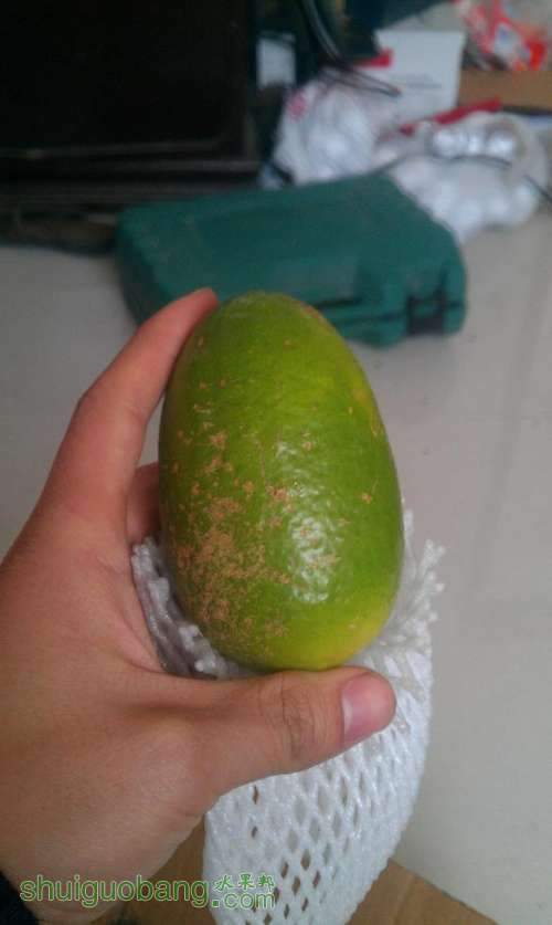 IMAG0518.jpg