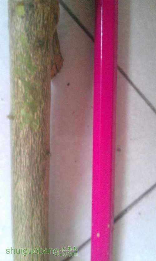 IMAG0521.jpg