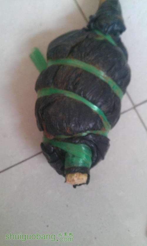 IMAG0523.jpg