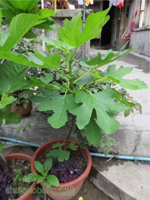 PICer20133101040.jpg