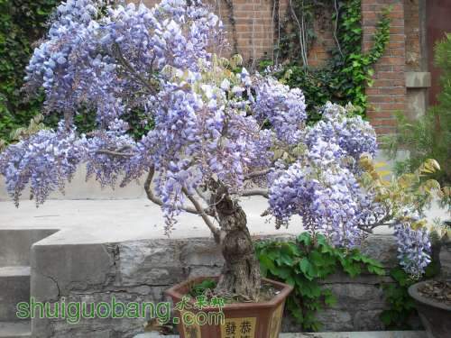 2012-04-22 07.34.16.jpg