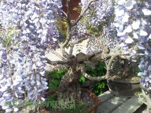 2012-04-25 16.08.15.jpg