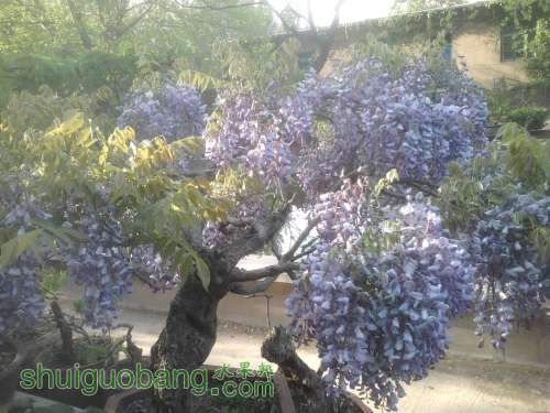 2012-04-26 07.02.52.jpg