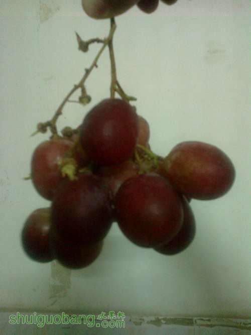 20130310257.jpg