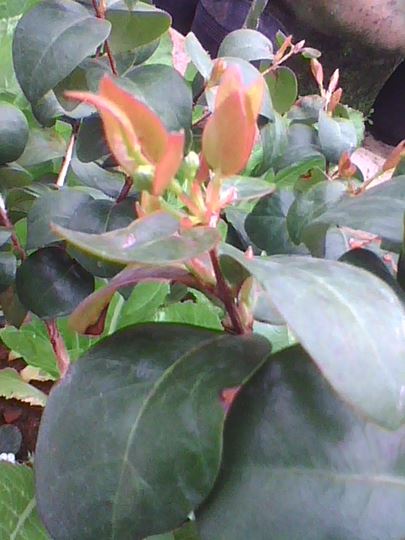 img0207_130717591.jpg